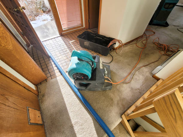 Best Flood restoration services  in Ferndale, CA