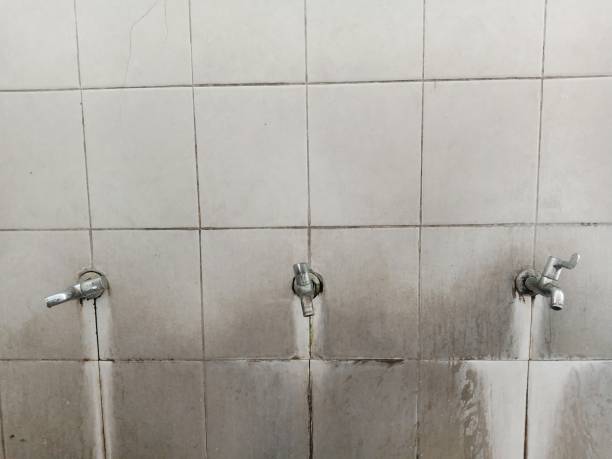 Best Flood restoration services  in Ferndale, CA