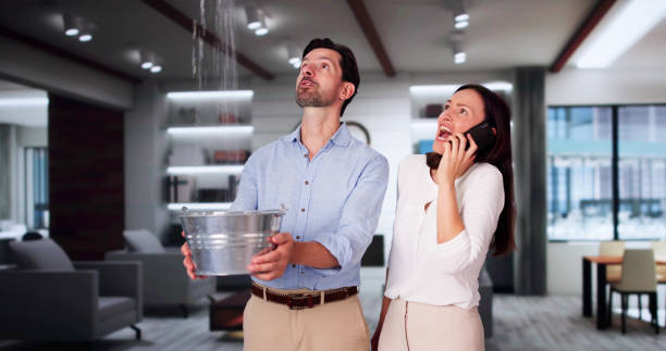 Best Fire Damage Restoration  in Ferndale, CA